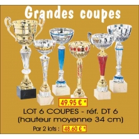 Réf. DT6 - LOT DE 6 COUPES hauteur moyenne 34 cm